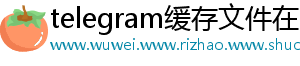 telegram缓存文件在哪ios